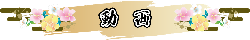 動画